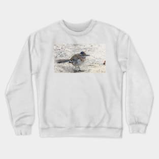 Great Roadrunner takes a Brief Pause Crewneck Sweatshirt